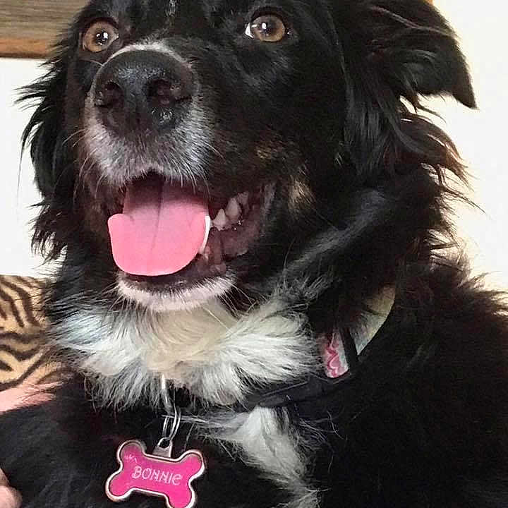 Bonnie