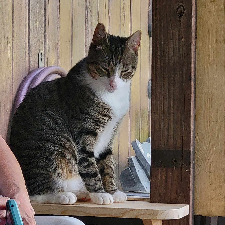 Nick