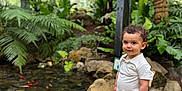 Aëlan participe au concours pour gagner de l'argent avec cette photo : toddler, child, boy, pond, fish, koi, greenhouse, plants, rocks, curly_hair, white_shirt, red_shorts, sandals, nature, indoor, water, smile, standing, portrait, casual_clothing