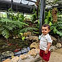 toddler, child, boy, pond, fish, koi, greenhouse, plants, rocks, curly_hair, white_shirt, red_shorts, sandals, nature, indoor, water, smile, standing, portrait, casual_clothing