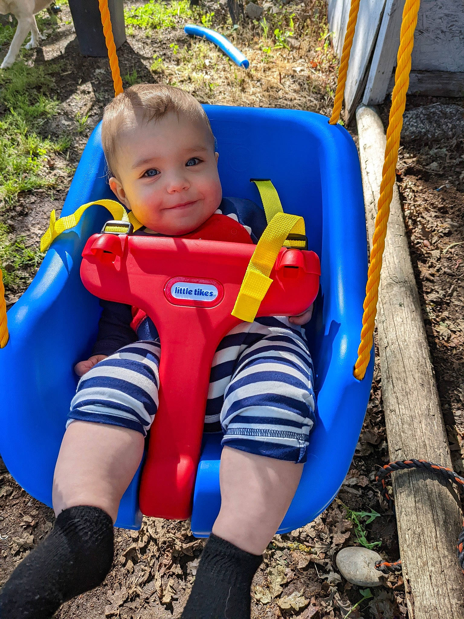 Cash is registered to the contest to win money with this photo: baby, baby_toddler_clothing, child, city, electric_blue, fun, grass, happy, head, human_body, leisure, outdoor_play_equipment, person, playground, recreation, sitting, smile, t_shirt, thigh, toddler