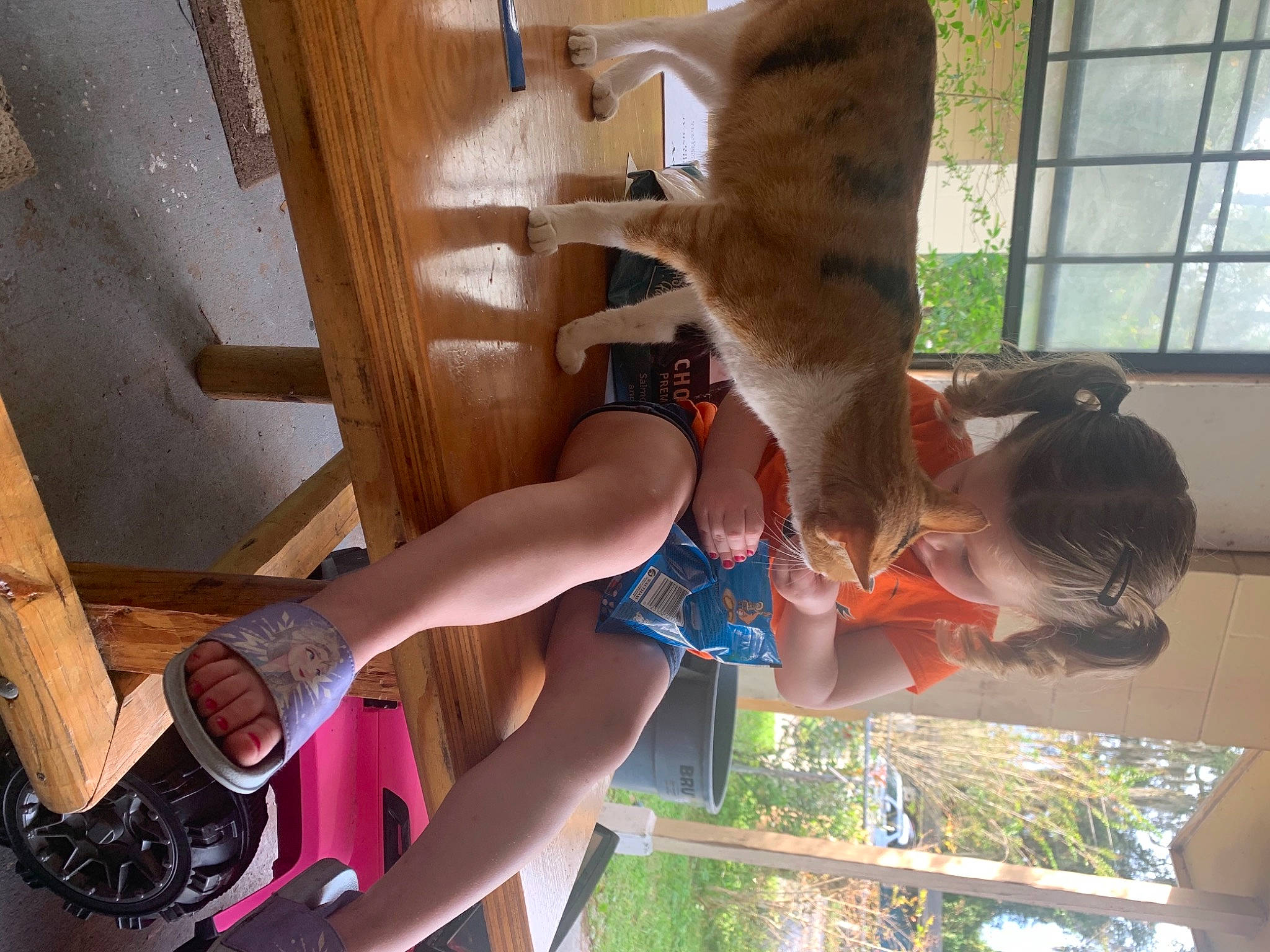 Kitty joined the competition — help win amazing prizes! arm, child, elbow, fun, fur, happy, hat, human_leg, leisure, recreation, room, sandal, shorts, t_shirt, thigh, tree, vacation, window, wood