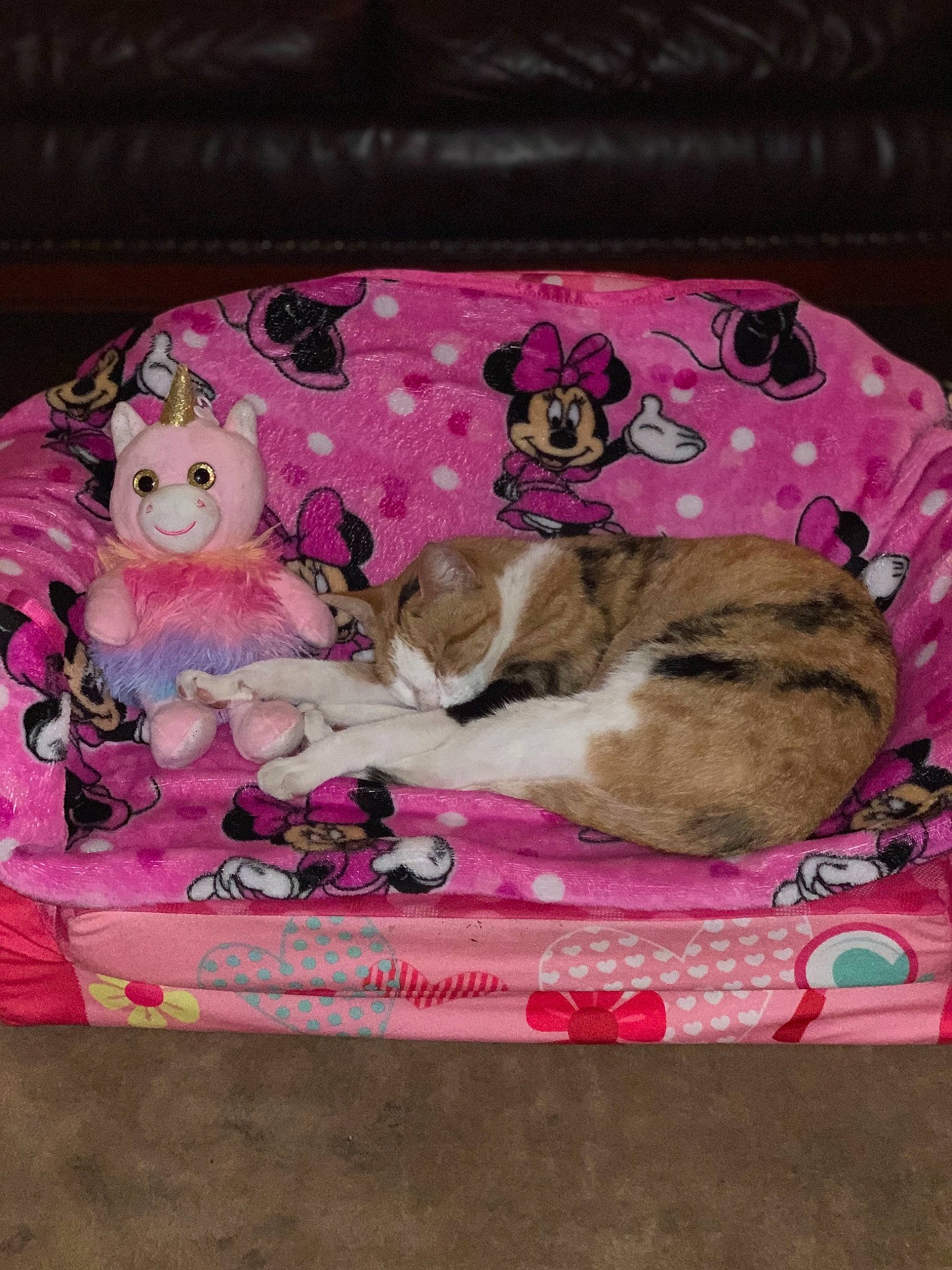 Kitty joined the competition — help win amazing prizes! basket, carnivore, cat, cat_supply, comfort, couch, domestic_short_haired_cat, fawn, felidae, fur, linens, magenta, pattern, pet_supply, pink, small_to_medium_sized_cats, tail, textile, vertebrate, whiskers