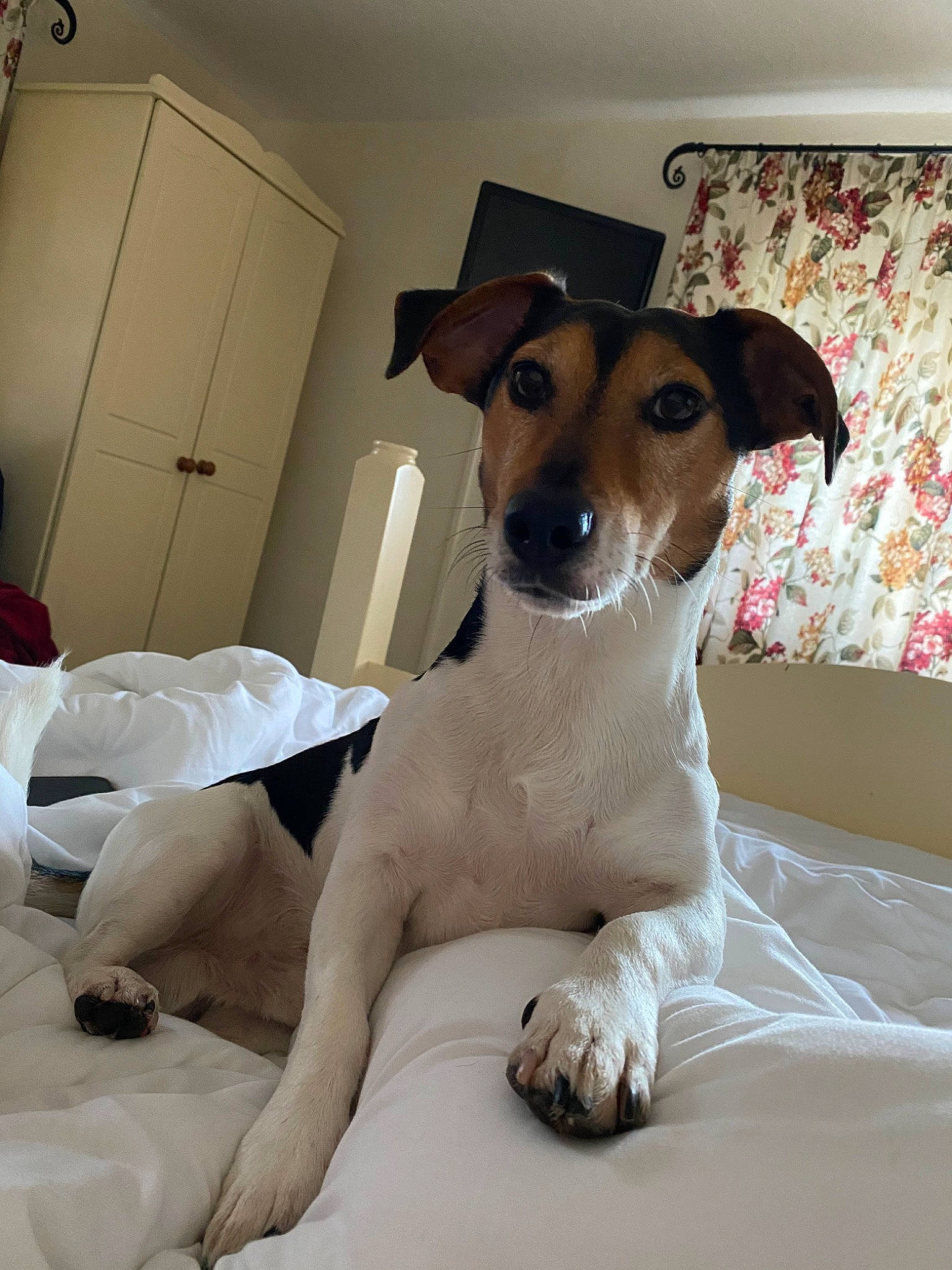 Spud