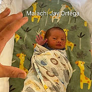 Malachi joined the competition — help win amazing prizes! newborn, baby, swaddled, blanket, giraffe_print, animal_print, hand, infant, lying_down, bed, mat, cute, small, portrait, child, person, cozy, nursery, soft, warm