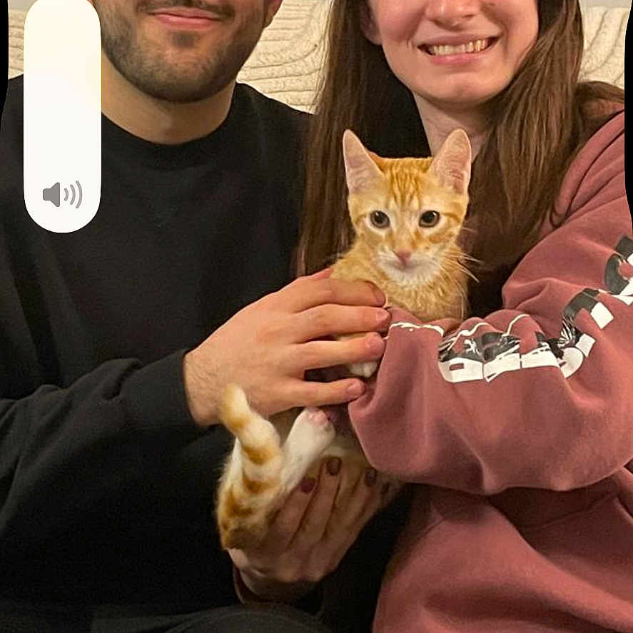 Bonbon