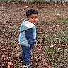 autumn_leaves, blue_vest, blurred_background, candid, child, expression, face, gloves, grass, hoodie, looking_back, navy_sweatpants, outdoor, park, portrait, short_hair, sneakers, standing, toddler, trees