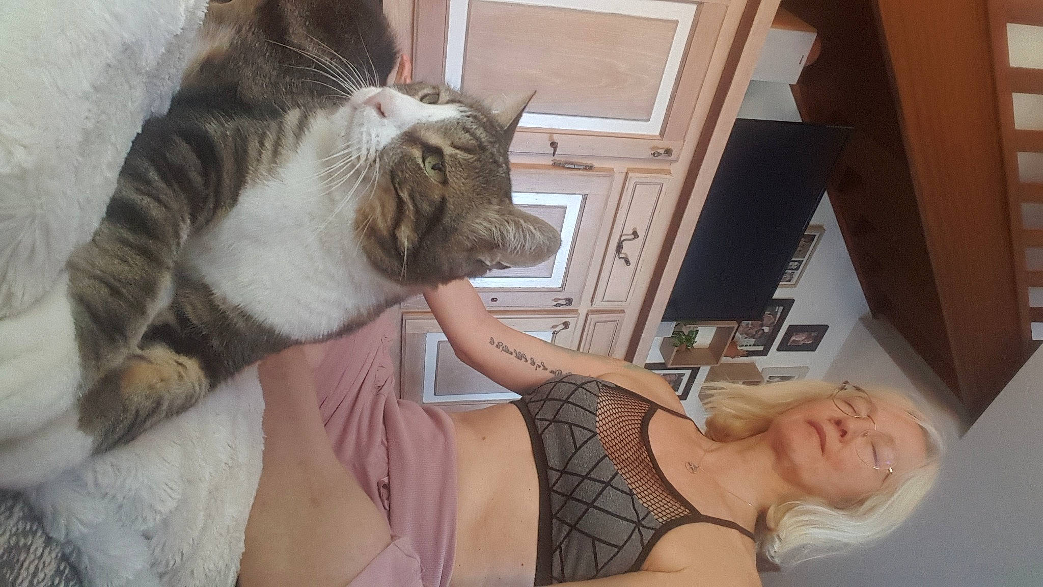 Gribouille a rejoint le concours — aidez-le/la à gagner de superbes lots ! abdomen, carnivore, cat, chest, comfort, elbow, eyelash, felidae, human_leg, knee, leg, lingerie, long_hair, small_to_medium_sized_cats, stomach, thigh, trunk, undergarment, waist, whiskers