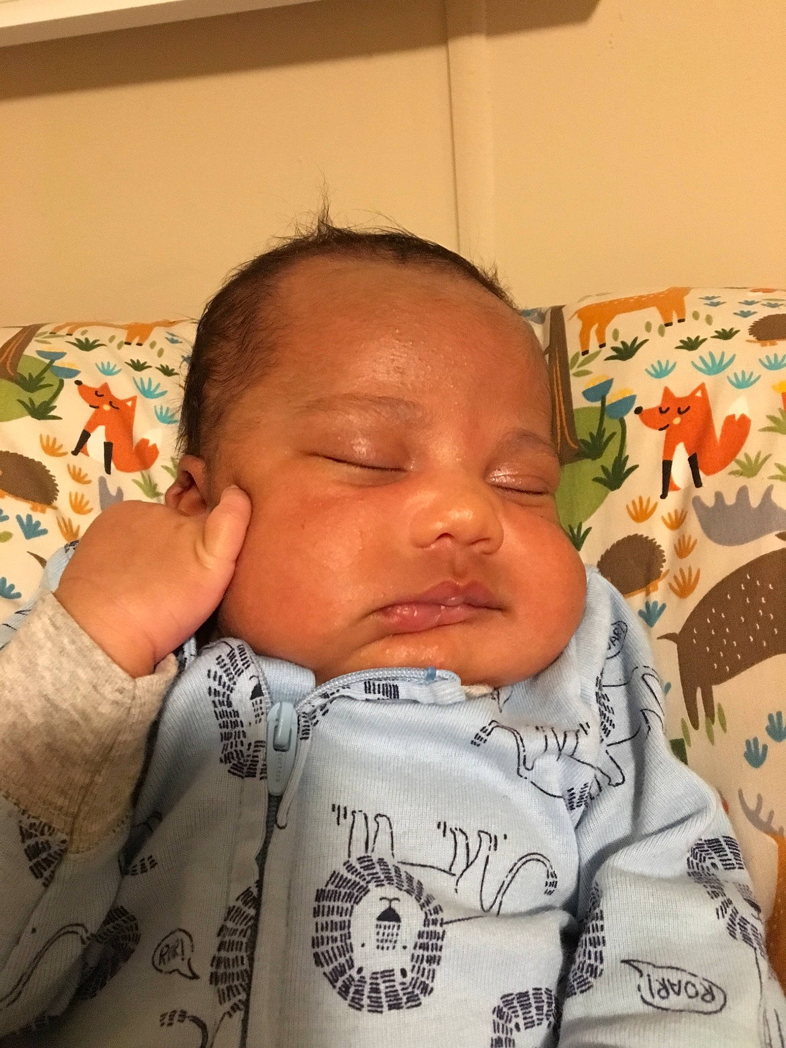 Prince is registered to the contest to win money with this photo: baby, bedtime, birth, cheek, child, ear, face, forehead, head, mouth, nap, nose, person, skin, sleep, toddler