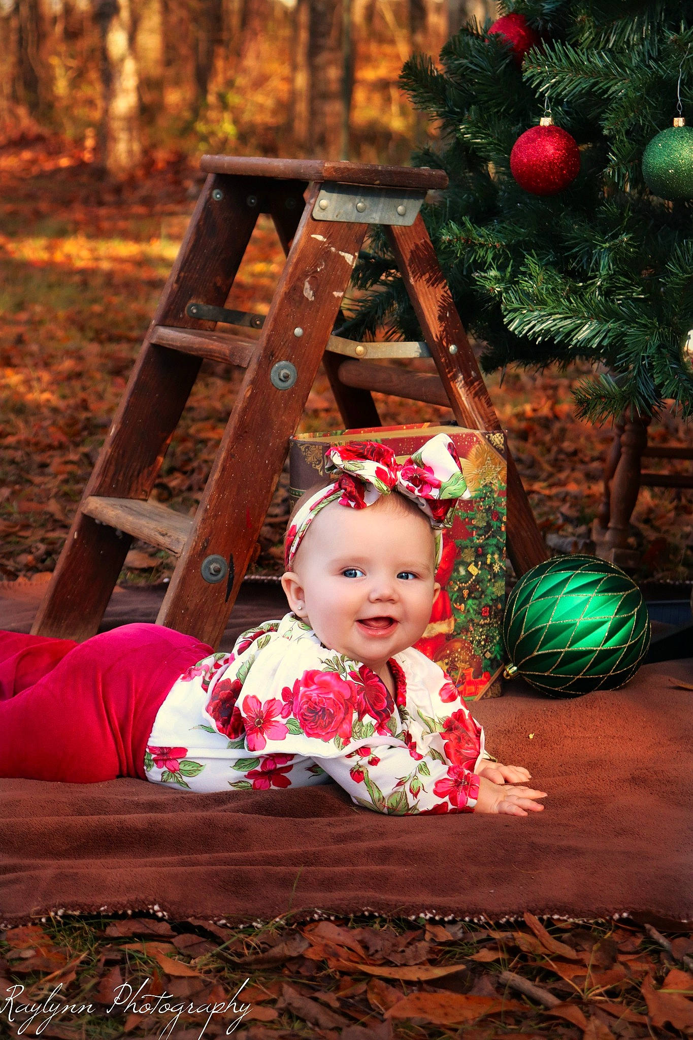 Laney joined the competition — help win amazing prizes! child, christmas, christmas_eve, christmas_ornament, christmas_tree, holiday, person, photography, sitting, toddler, tree