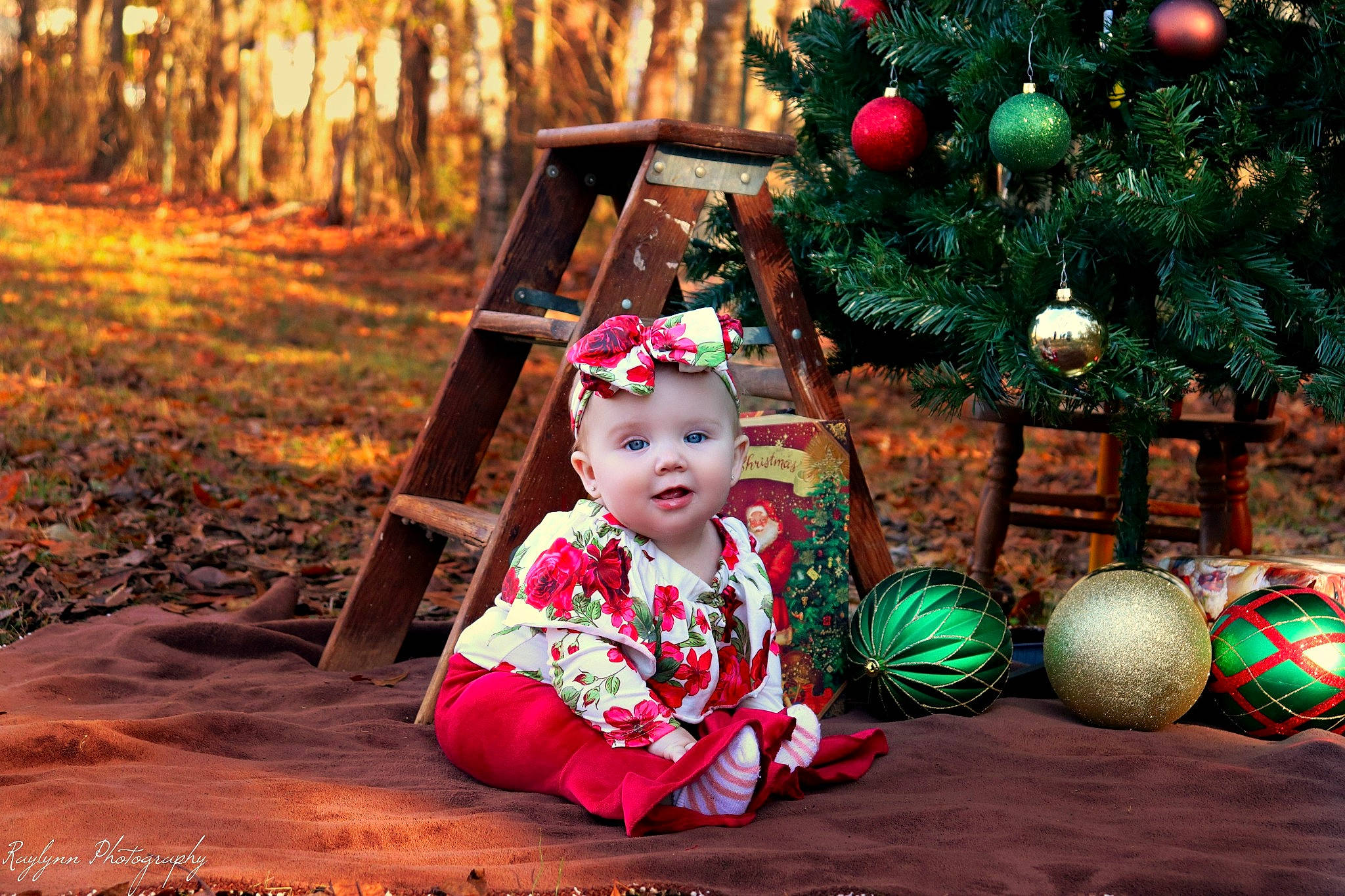 Laney joined the competition — help win amazing prizes! baby, child, christmas, christmas_decoration, christmas_eve, christmas_lights, christmas_ornament, christmas_tree, event, fir, holiday, interior_design, ornament, person, photography, plant, sitting, smile, toddler, tree