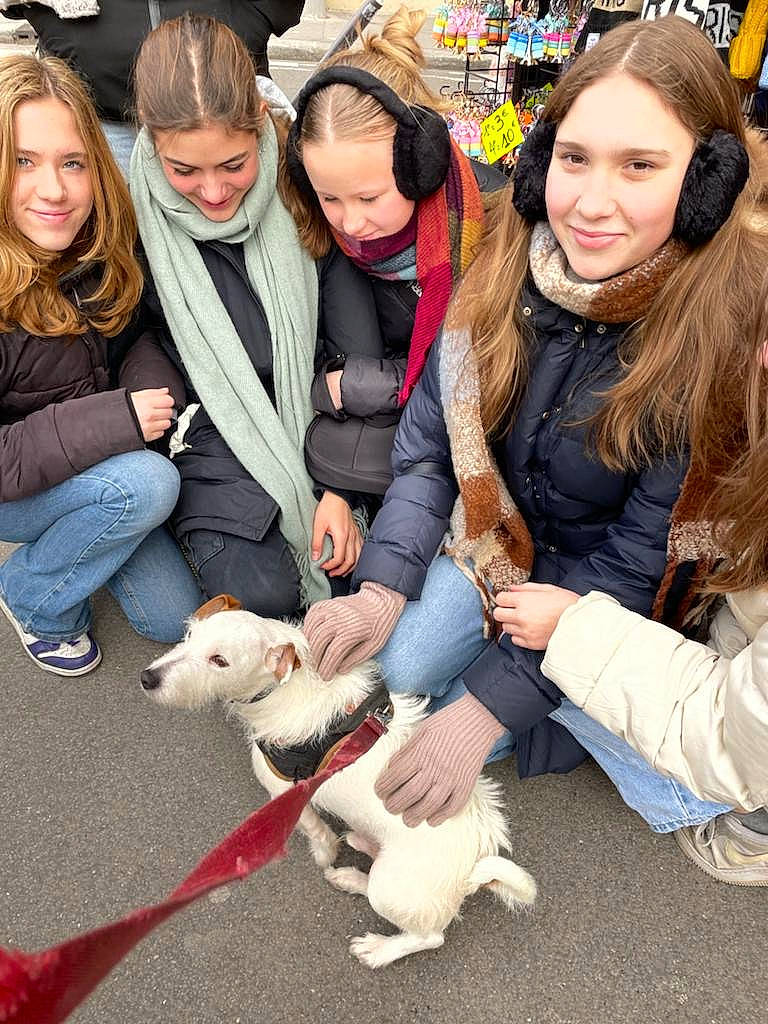 Rex a rejoint le concours — aidez-le/la à gagner de superbes lots ! carnivore, companion_dog, dog, dog_breed, event, eyewear, fashion_accessory, fun, fur, hair, happy, head, jeans, leisure, scarf, sitting, smile, sporting_group, tie, winter