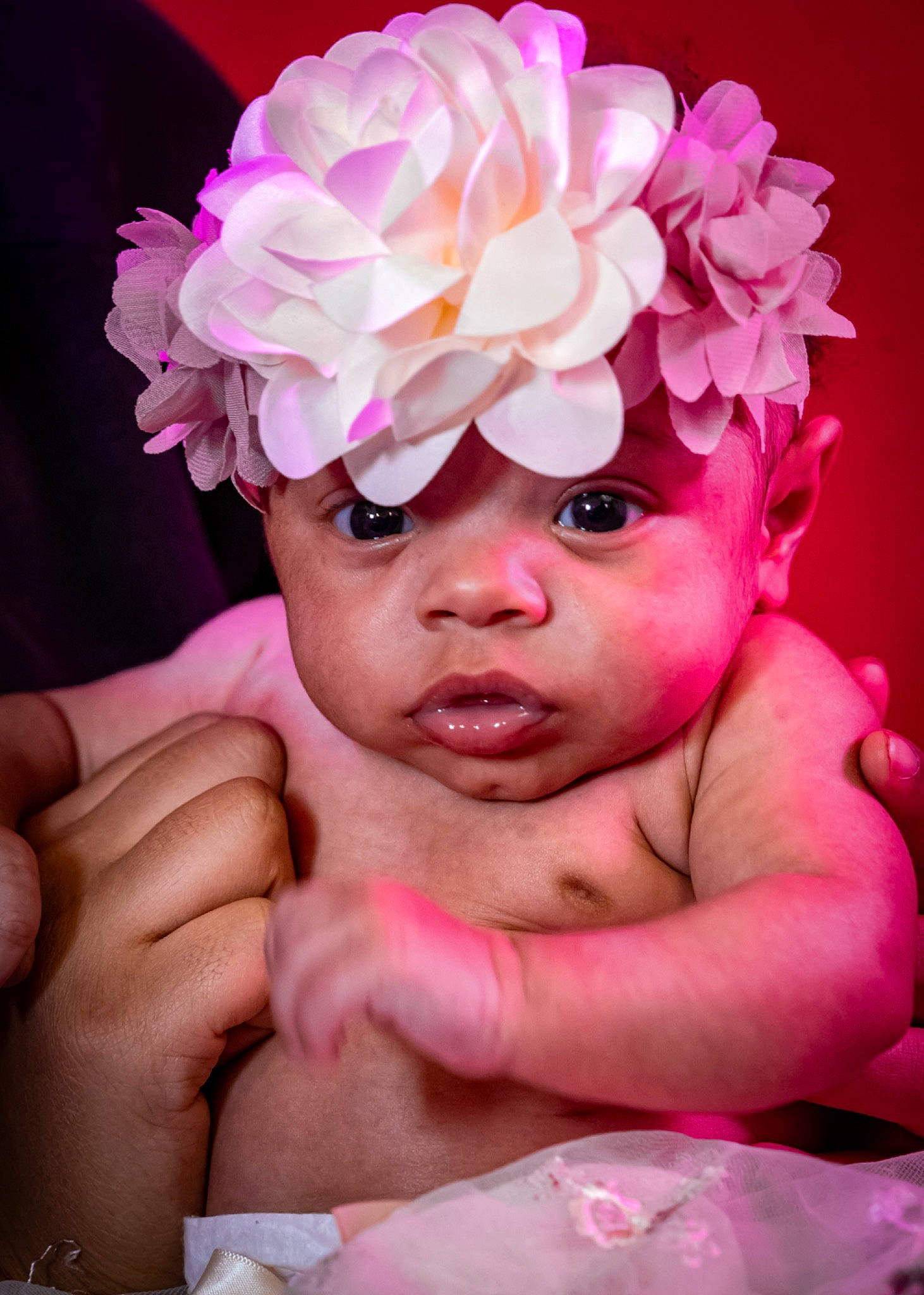 Kaylani is registered to the contest to win money with this photo: baby, baby_toddler_clothing, cap, child, chin, close_up, cut_flowers, flash_photography, flower, happy, headband, headgear, headpiece, headwear, lip, magenta, person, petal, pink, rose_family