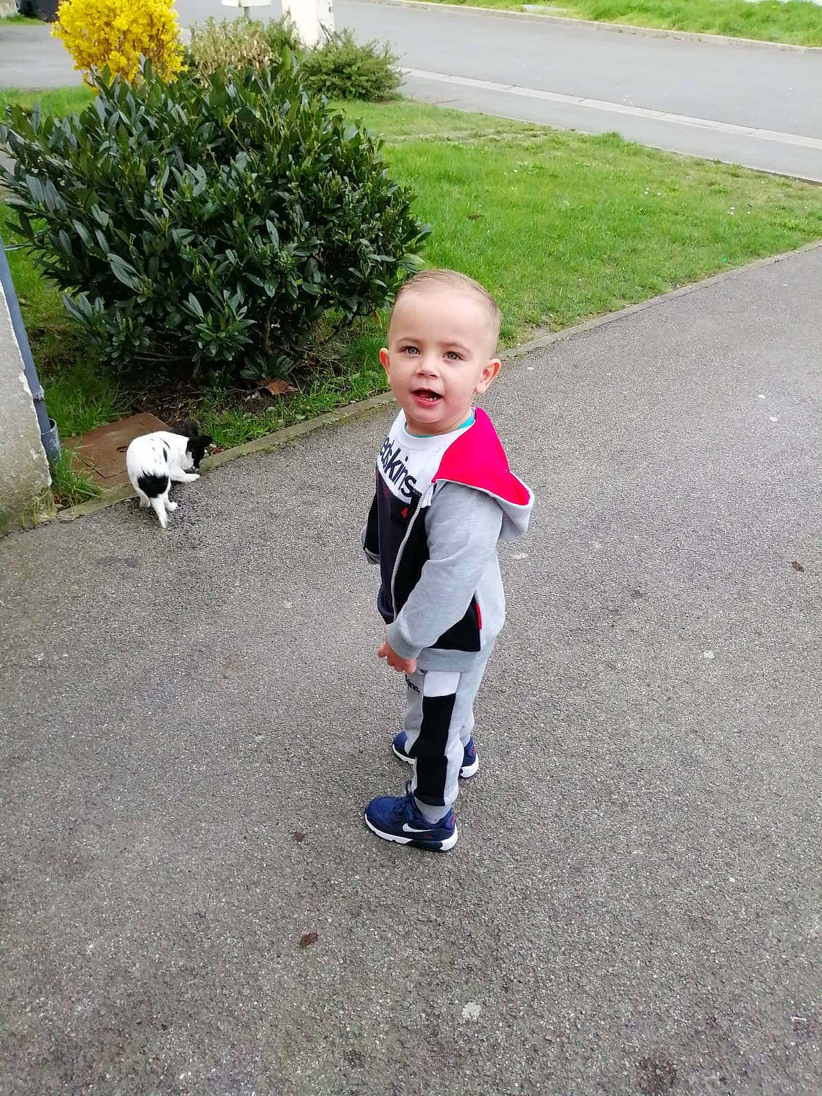 Tiziano a rejoint le concours — aidez-le/la à gagner de superbes lots ! asphalt, carnivore, companion_dog, dog_breed, felidae, flooring, flower, footwear, fun, grass, leisure, person, plant, recreation, road, road_surface, sidewalk, tail, toddler, walking