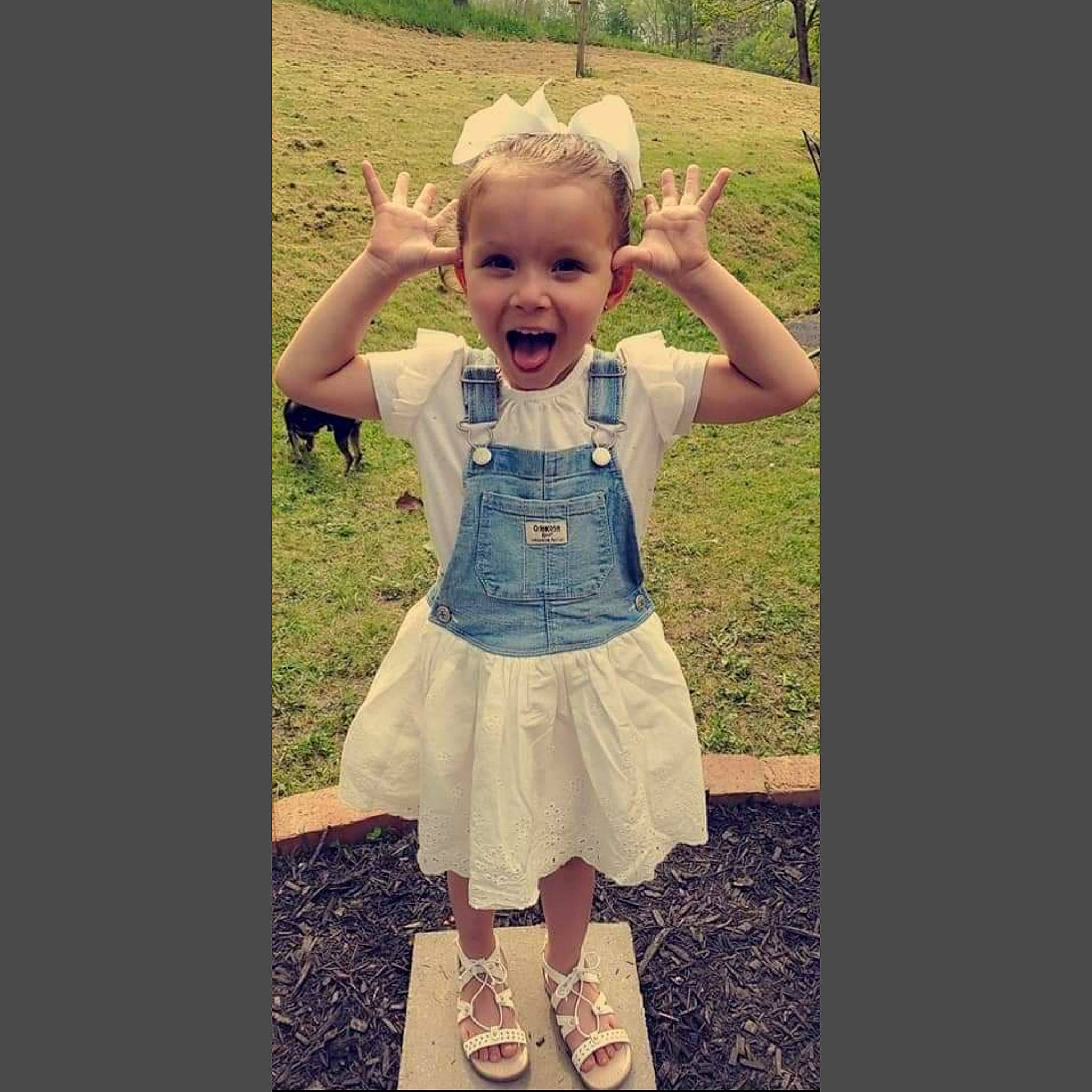 Harper-lee joined the competition — help win amazing prizes! baby_toddler_clothing, clothing, cool, day_dress, face, gesture, grass, hair, happy, one_piece_garment, pattern, person, plant, shoulder, sleeve, smile, street_fashion, t_shirt, textile, toddler