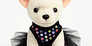 Pebbles joined the competition — help win amazing prizes! stuffed_animal, plush, dog, tutu, black_tutu, sequins, costume, cute, toy, fabric, ears, nose, eyes, sitting, white_background, small_dog, real_dog, comparison, fashion, accessory