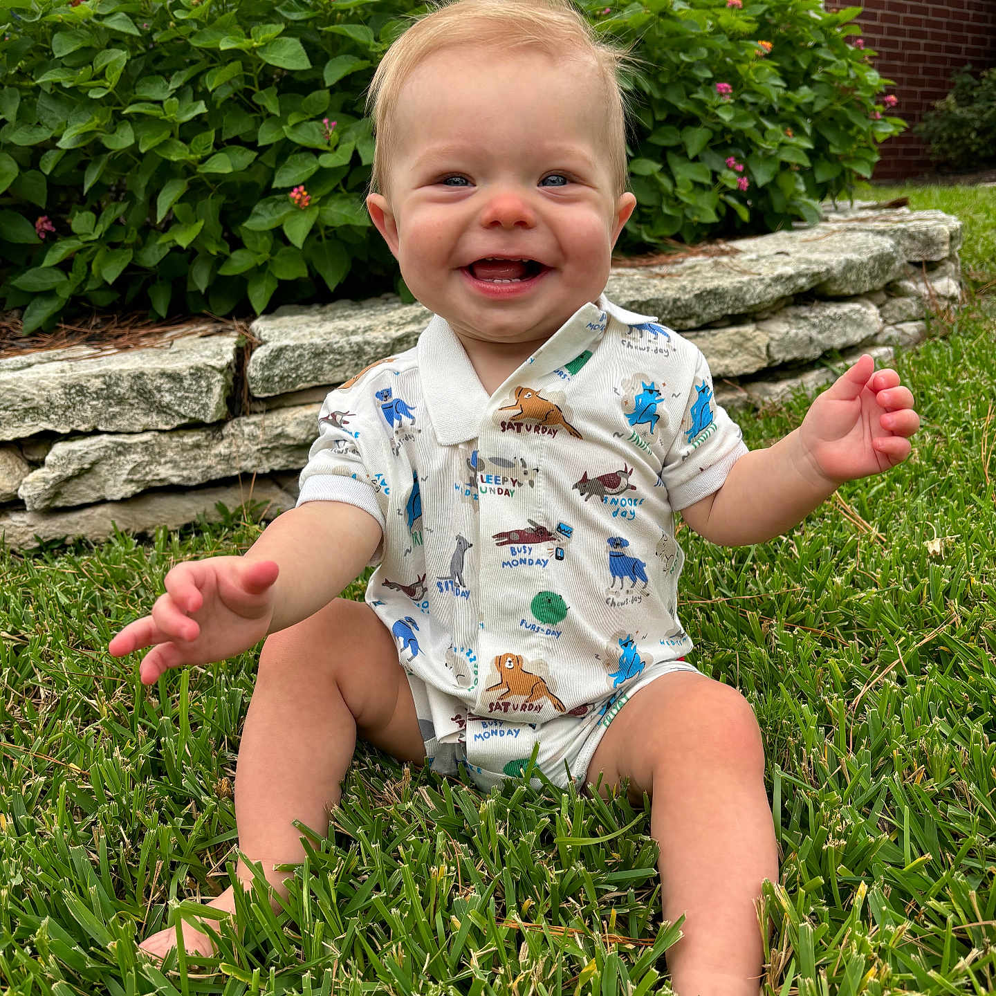 Frank is registered to the contest to win money with this photo: baby, backyard, bodypart, face, finger, grass, hand, head, herbal, herbs, lawn, nature, outdoors, path, person, photography, plant, portrait, walkway, yard