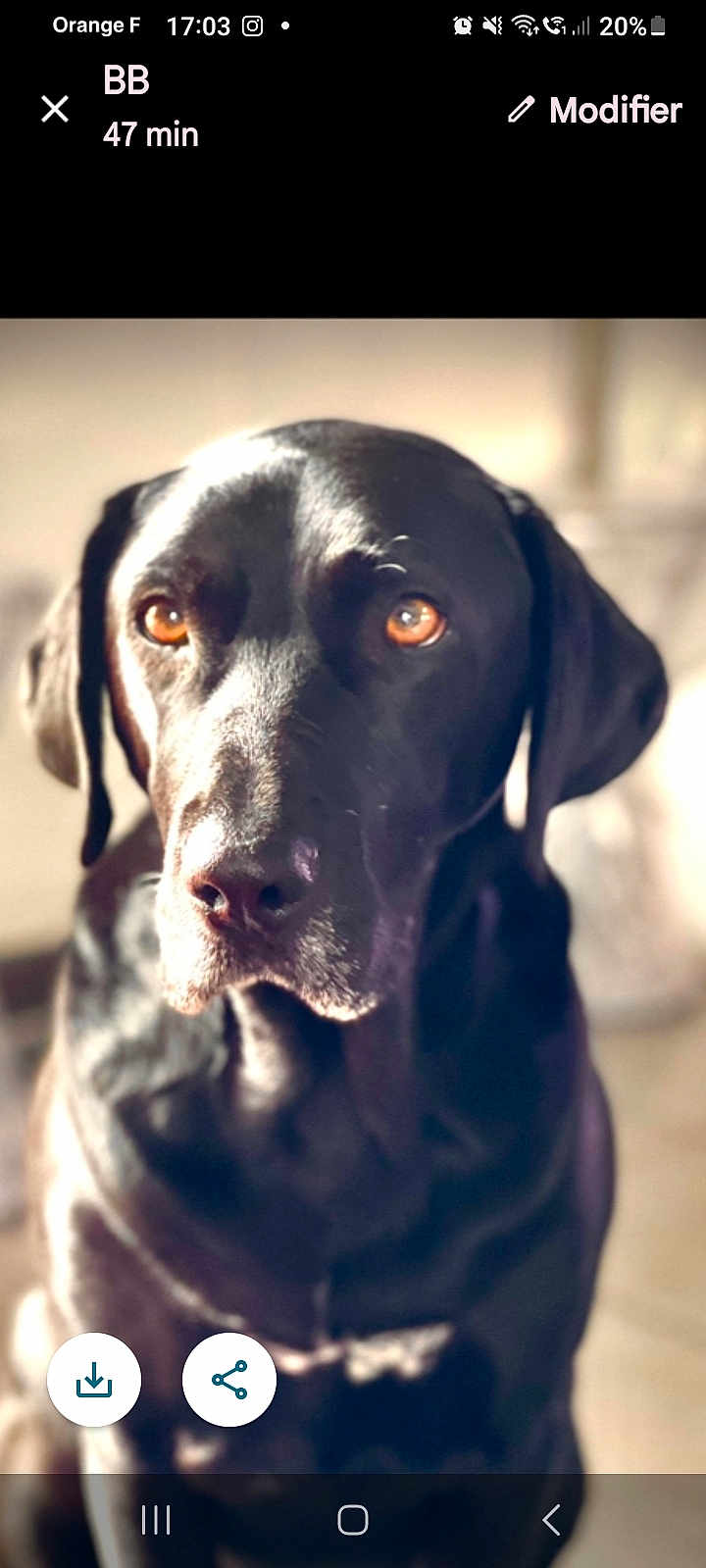 Odin