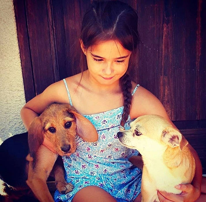 Ruby participe au concours pour gagner de l'argent avec cette photo : canidae, carnivore, child, companion_dog, dachshund, dog, dog_breed, family, friendship, happy, love, nose, puppy, puppy_love, smile