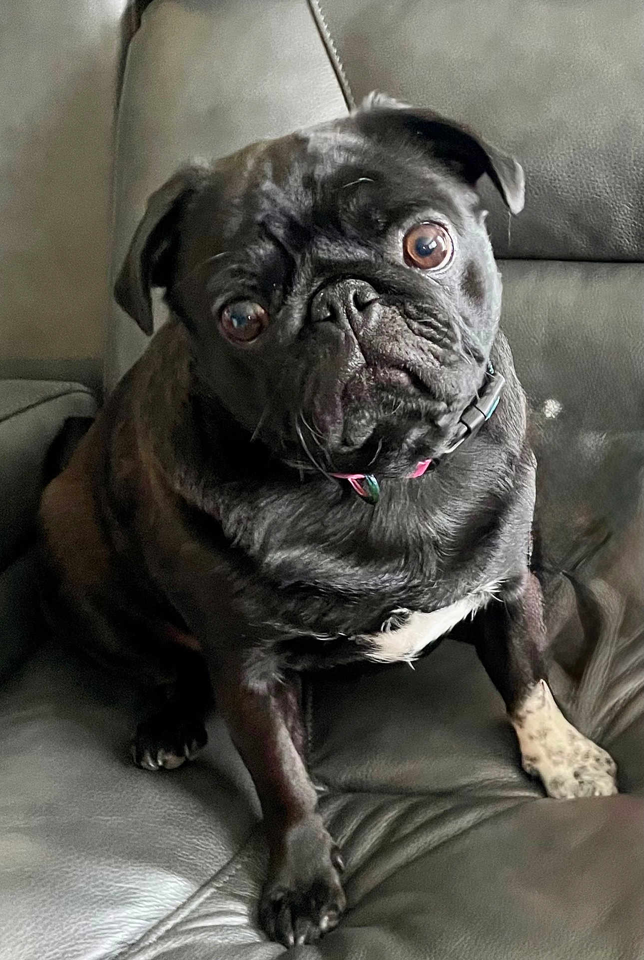 Winnie