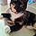 Pepper