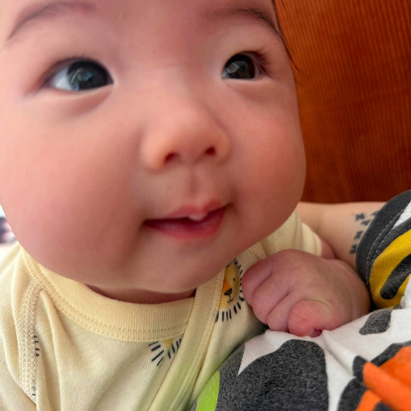 Haruto joined the competition — help win amazing prizes! baby, bodypart, clothing, couch, ear, face, finger, furniture, hand, happy, head, hoodie, knitwear, mouth, newborn, person, photography, portrait, smile, sweater