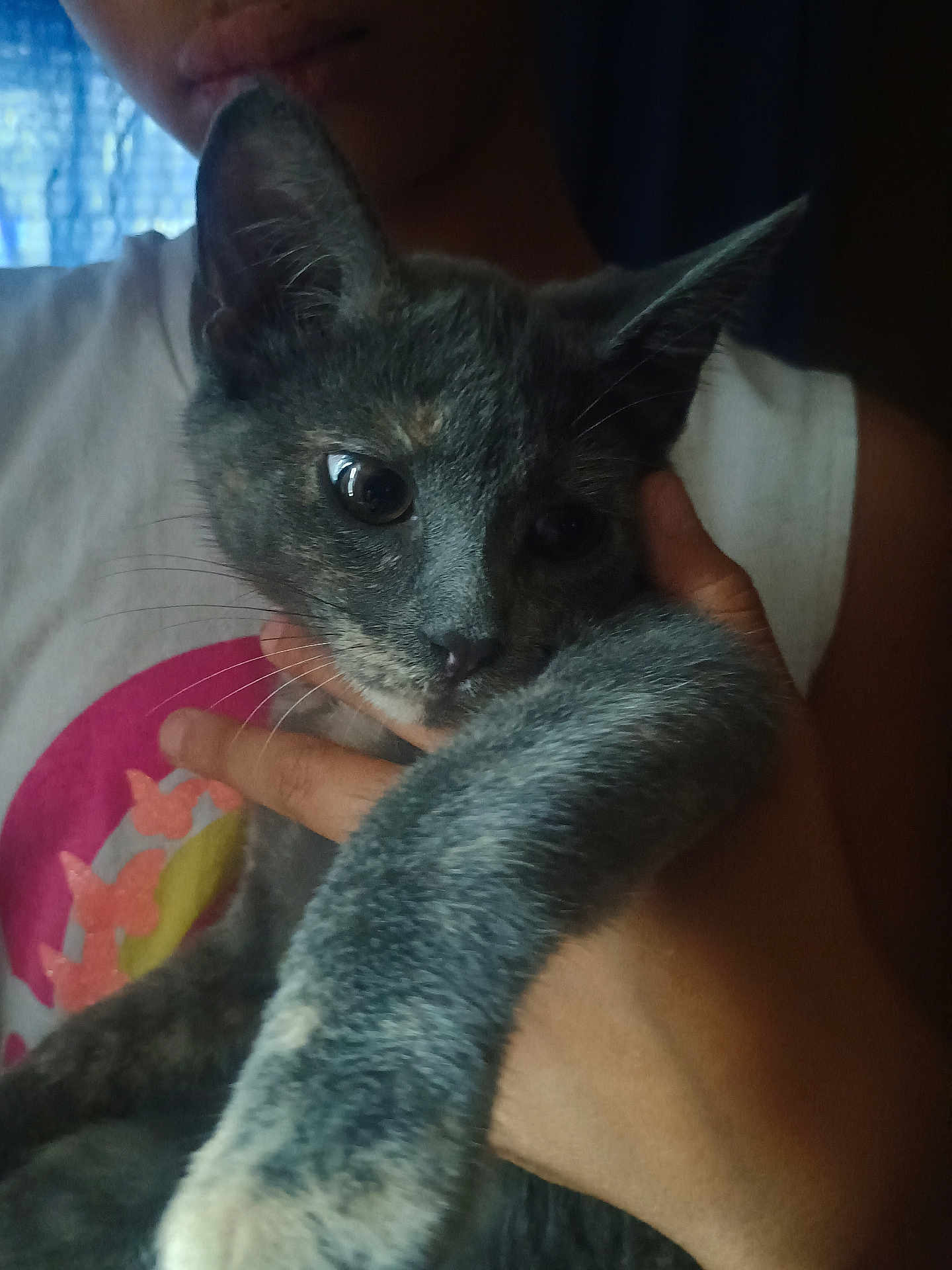 Luna