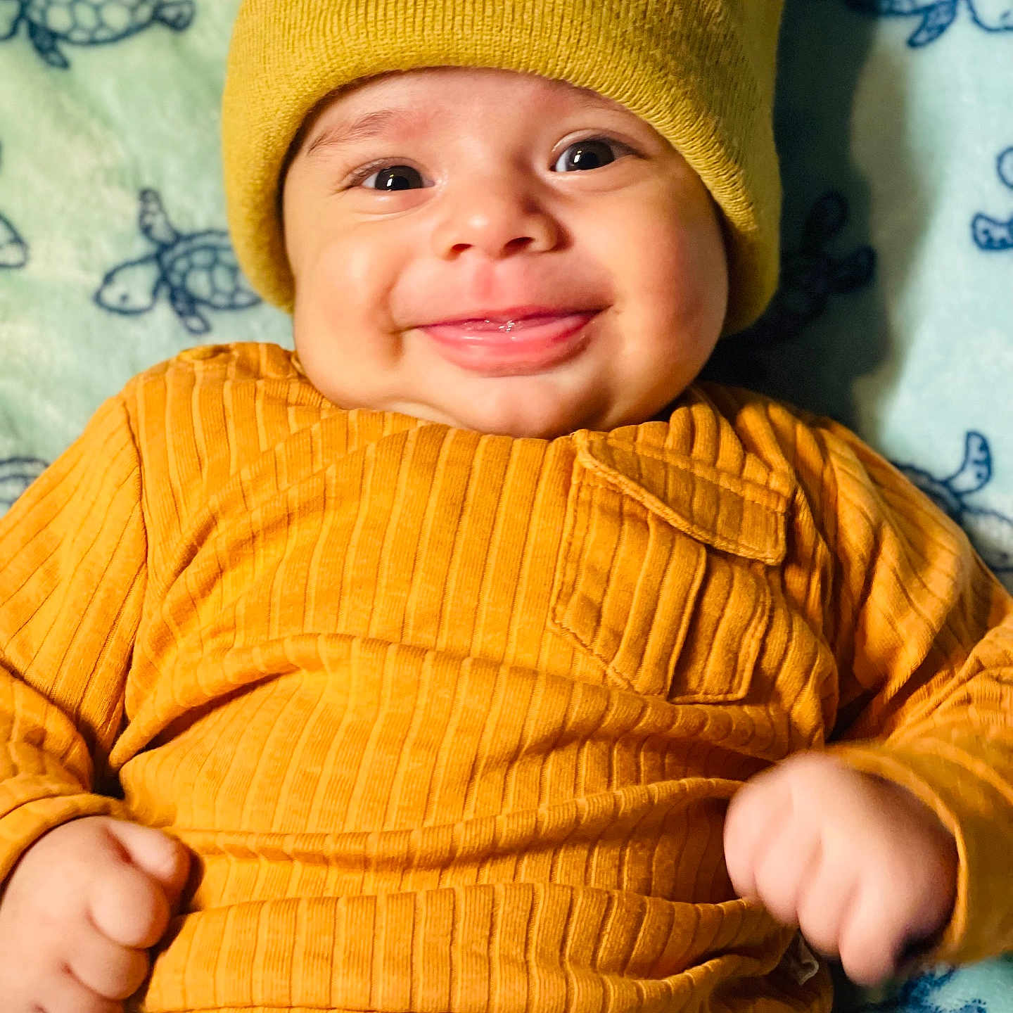 Rayyan is registered to the contest to win money with this photo: animal, baby, babylaughing, beanie, bodypart, cap, clothing, face, finger, hand, happy, hat, head, person, photography, portrait, reptile, sealife, smile, turtle