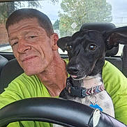 Teddy joined the competition — help win amazing prizes! man, dog, car, steering_wheel, seat, green_shirt, black_dog, white_spots, collar, dog_tag, window, tree, road_sign, inside, portrait, close_up, pet, animal, vehicle_interior, casual