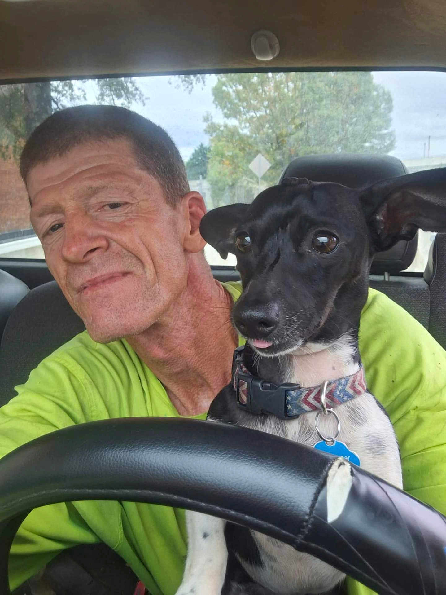 Teddy joined the competition — help win amazing prizes! man, dog, car, steering_wheel, seat, green_shirt, black_dog, white_spots, collar, dog_tag, window, tree, road_sign, inside, portrait, close_up, pet, animal, vehicle_interior, casual