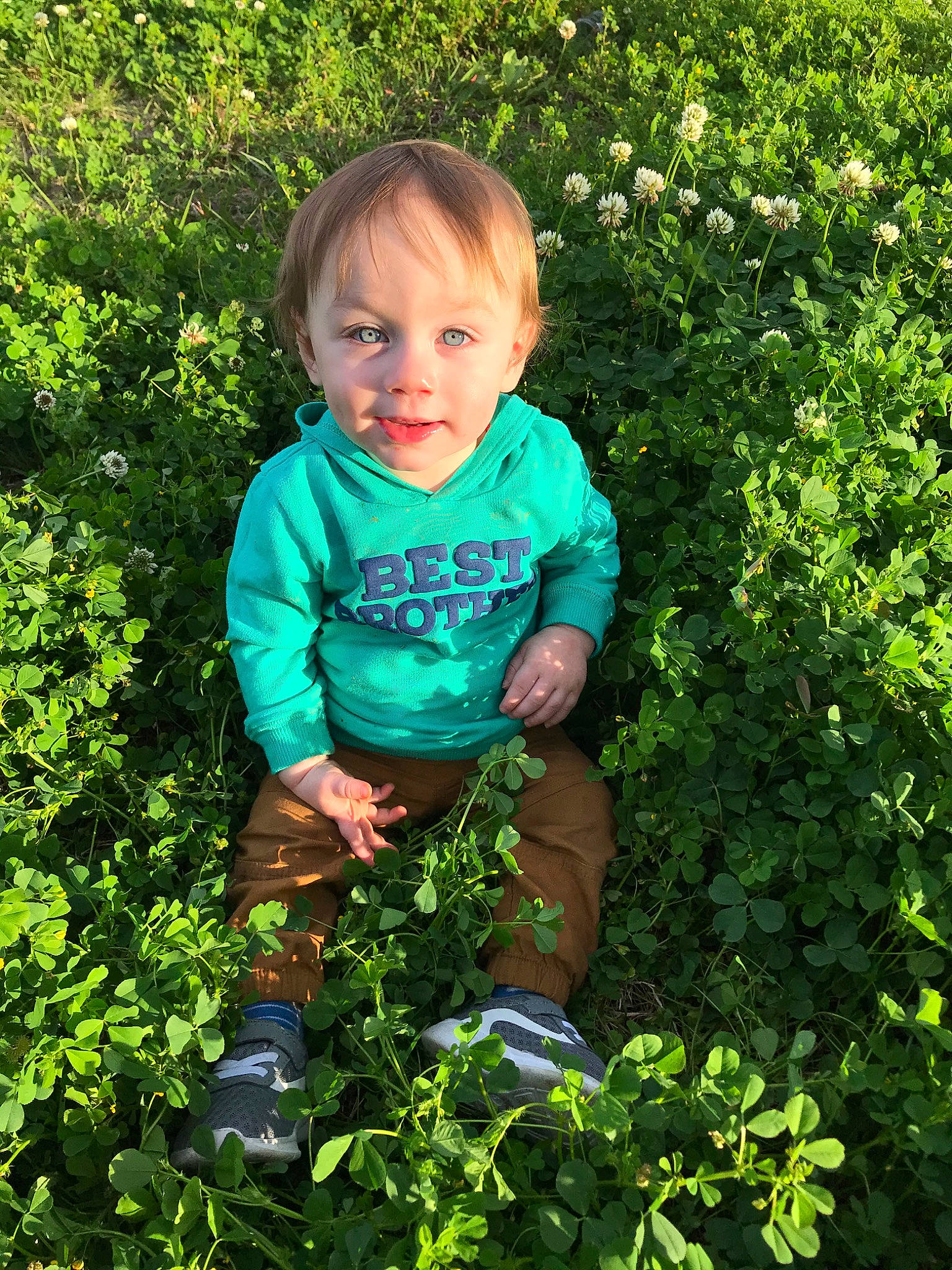 Rhydian is registered to the contest to win money with this photo: annual_plant, child, flower, garden, gardening, grass, groundcover, herb, leaf, person, plant, play, shrub, toddler