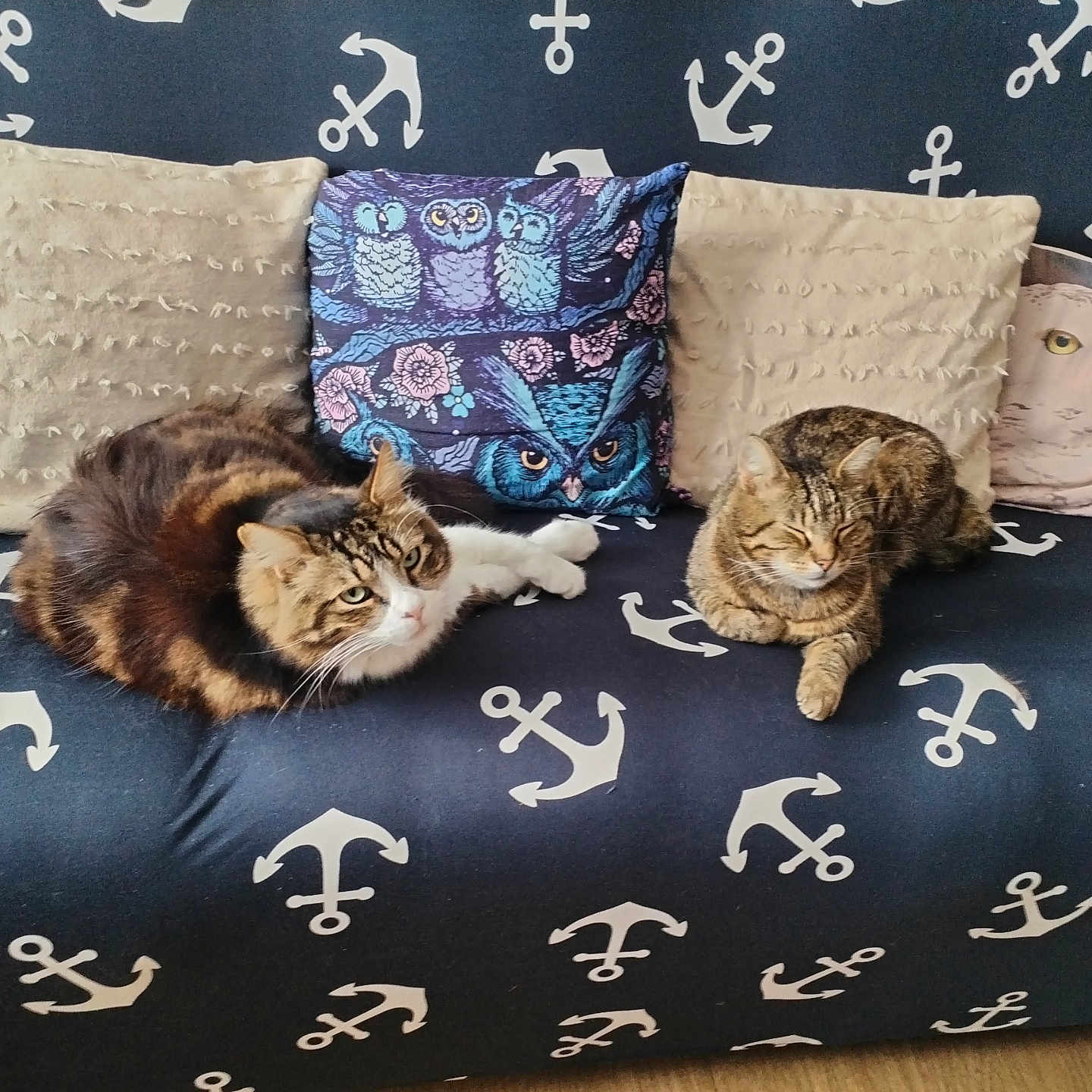Féfé Et Moustique