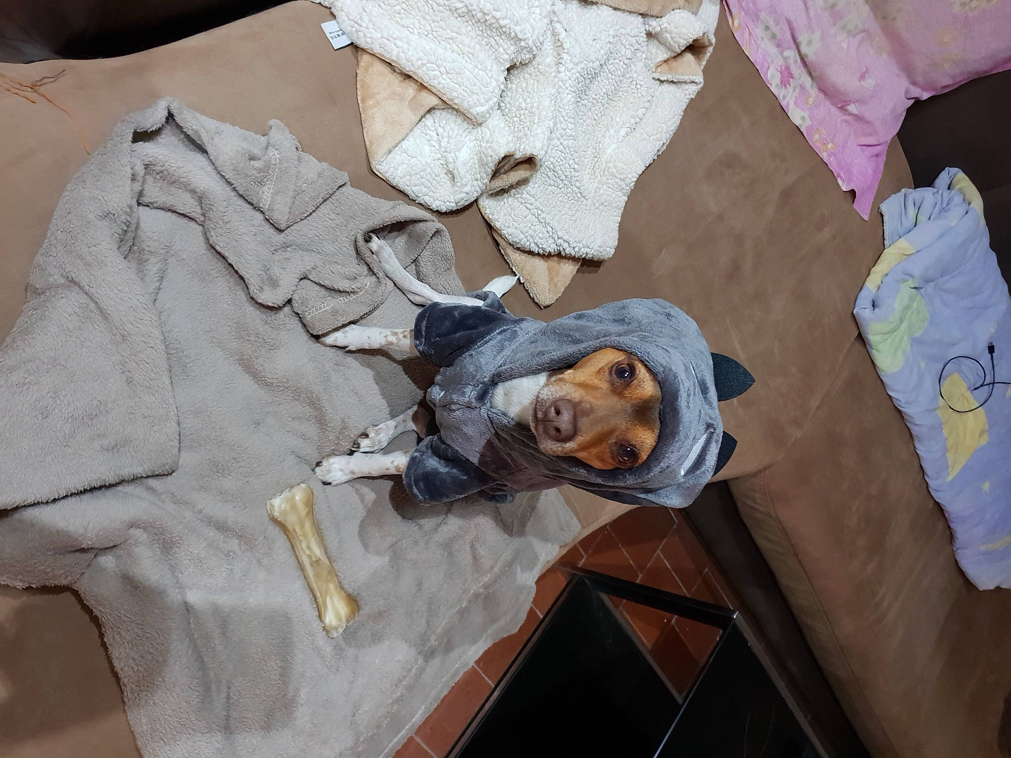 Jazz participe au concours pour gagner de l'argent avec cette photo : art, hat, linens, paper, paper_product, pattern, plastic, room, sleeve, t_shirt, textile, tree, visual_arts, wood