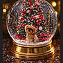 dog, snow_globe, christmas_tree, holiday, festive, snow, ornaments, poinsettia, lights, decoration, gold_base, cute, small_dog, winter, indoor, celebration, sparkle, seasonal, warm_lighting, background_blur