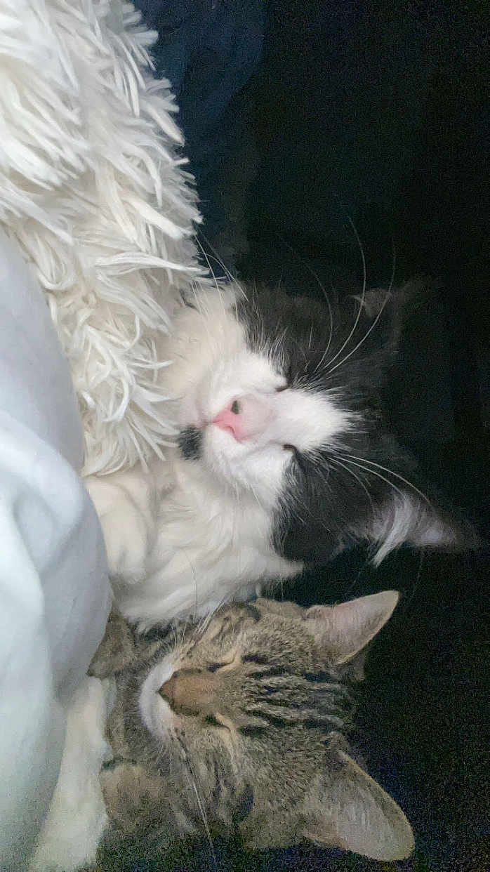 Uryo Et Tyo