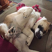 Arabell is registered to the contest to win money with this photo:
