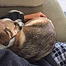 Arabell is registered to the contest to win money with this photo:
