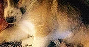Arabell is registered to the contest to win money with this photo:
