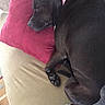 Karma is registered to the contest to win money with this photo: