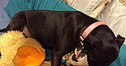 Karma is registered to the contest to win money with this photo: