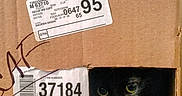 Sugar Bear is registered to the contest to win money with this photo: animal, black_cat, box, cardboard_box, cat, closeup, coffee, container, curious, cutout, dark, eyes, feline, indoor, label, packaging, peeking, pet, product_label, sitting
