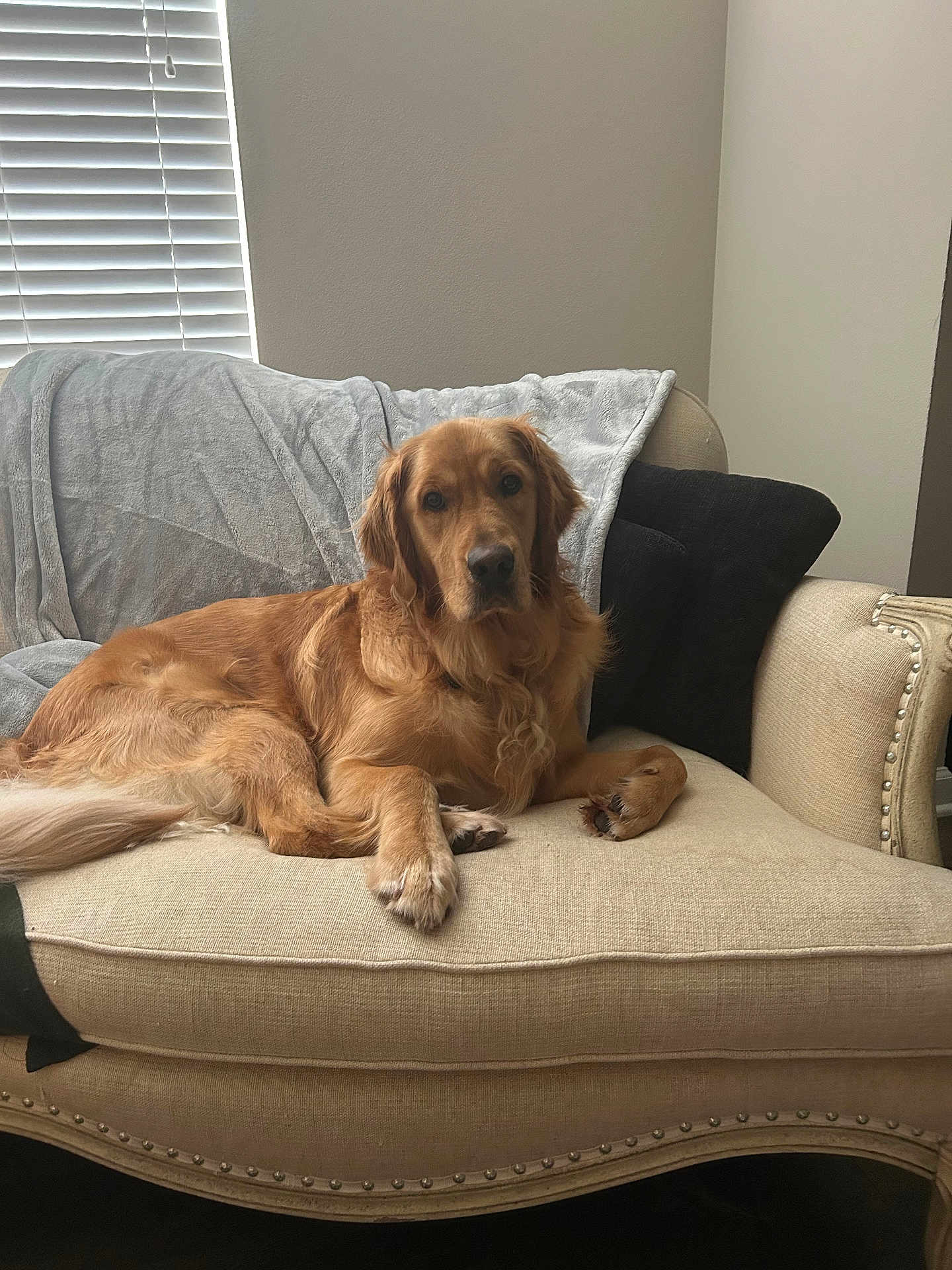 Remington