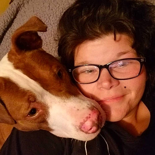 Rudy is registered to the contest to win money with this photo: carnivore, companion_dog, dog, dog_breed, ear, eyebrow, eyewear, fawn, gesture, glasses, happy, jaw, liver, neck, nose, organ, snout, vision_care, whiskers, working_animal