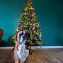 dog, boxer, christmas_tree, ornaments, lights, holiday, indoor, wooden_floor, green_wall, decorations, sitting, pet, canine, festive, calm, domestic, companion, animal, tree_star, red_balls