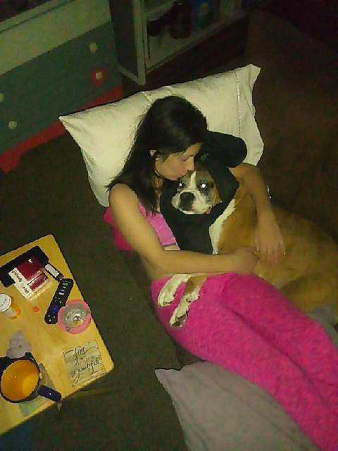 Gator is registered to the contest to win money with this photo: bed, bedding, black_hair, carnivore, comfort, companion_dog, dog, dog_breed, flooring, fun, human_leg, knee, lap, leisure, linens, magenta, pillow, room, thigh, trunk