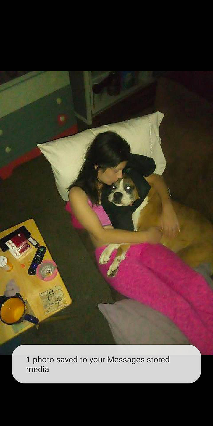 Gator is registered to the contest to win money with this photo: abdomen, bed, bedding, bedroom, carnivore, comfort, companion_dog, dog, dog_breed, fun, leisure, linens, magenta, nap, photo_caption, room, sitting, sunglasses, thigh