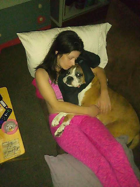 Gator joined the competition — help win amazing prizes! black_hair, canidae, carnivore, comfort, companion_dog, couch, dog, dog_breed, fawn, human_leg, knee, lap, leisure, linens, magenta, pillow, sporting_group, thigh, trunk, working_animal