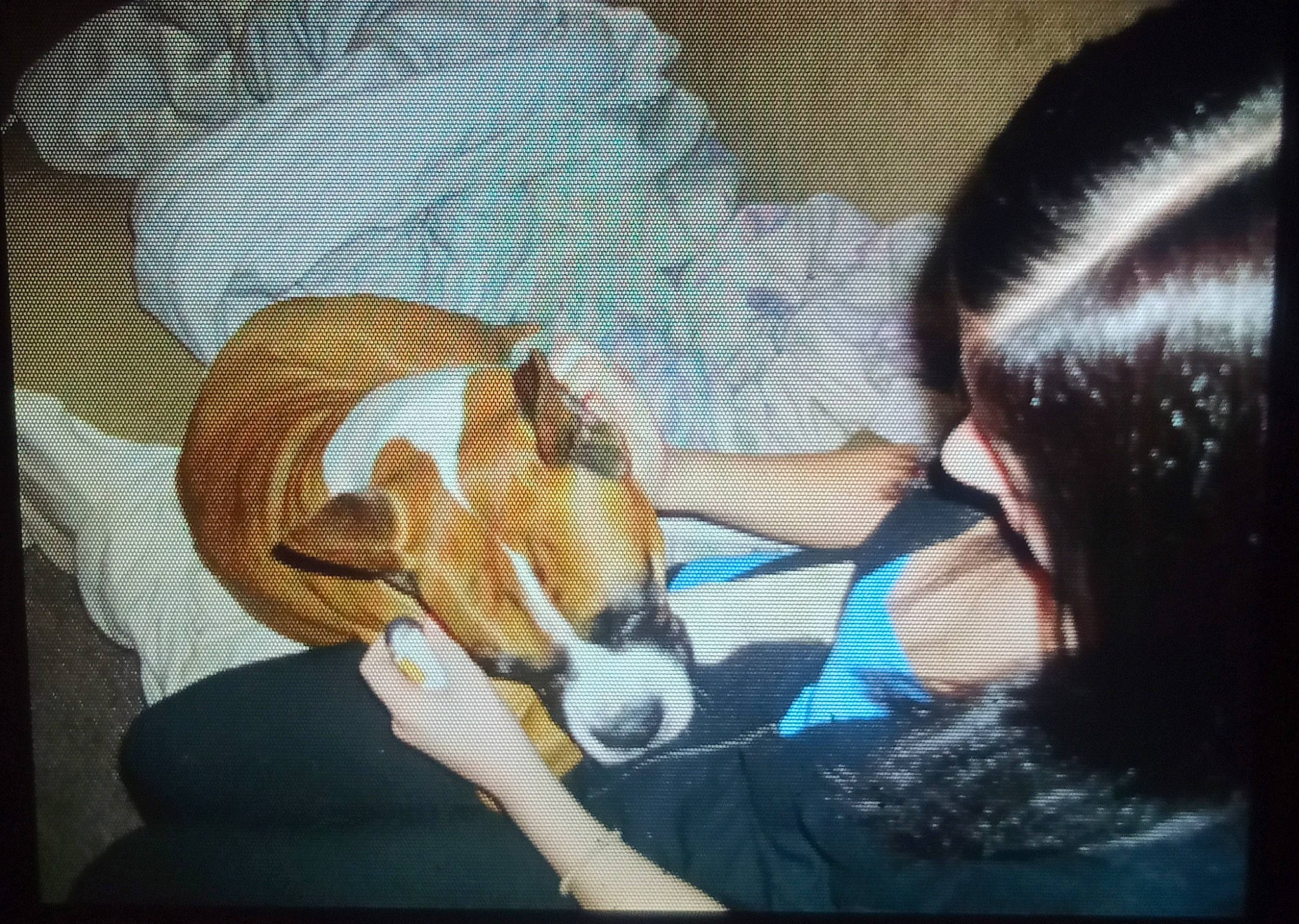 Sadie is registered to the contest to win money with this photo: art, carnivore, companion_dog, display_device, dog, dog_breed, eyelash, eyewear, fur, illustration, jaw, modern_art, mouth, mural, organism, paint, painting, shadow, tints_and_shades, visual_arts