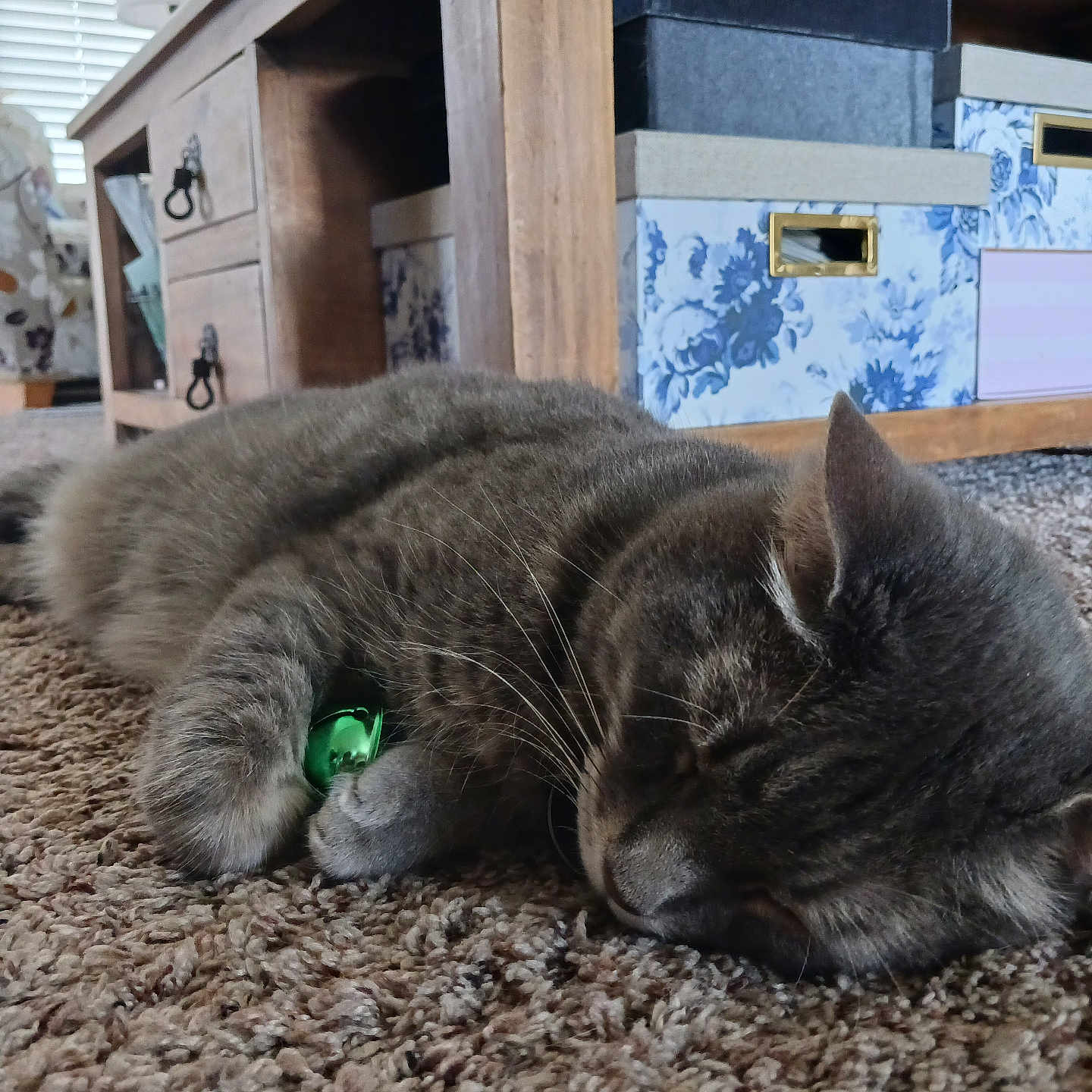 Binx Schulz