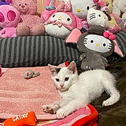 Winter Bella joined the competition — help win amazing prizes! animal, bed, blanket, cat, catnip_toy, cozy, cute, gray, indoor, kitten, pet, pink, plush_toys, resting, soft_toys, striped, stuffed_animals, towel, toy_mouse, white_cat